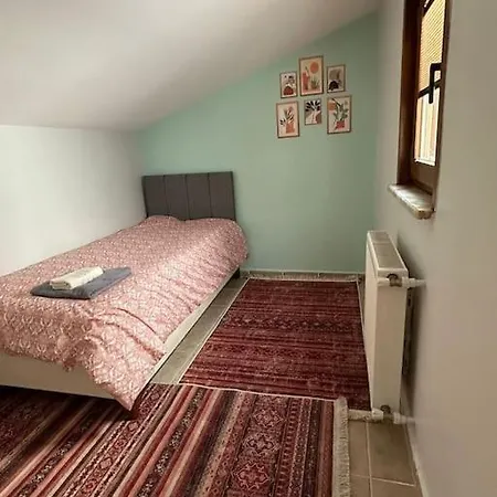5+2 Flat With Bosphorus Seaview Διαμέρισμα Κωνσταντινούπολη
